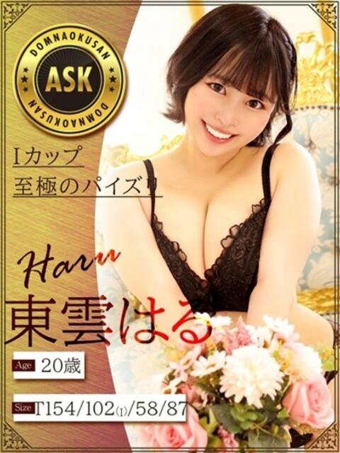 東雲　はる ドMな奥さん 十三店（人妻ホテヘル＆デリヘル）