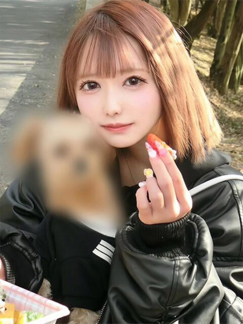 ひな 姫コレクション（デリヘル）