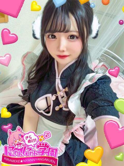 ホノカ きらめけ!にゃんにゃん学園in川口(デリヘル)