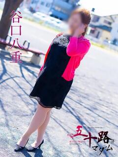 谷口八重 五十路マダム静岡店（カサブランカG）（静岡/デリヘル）