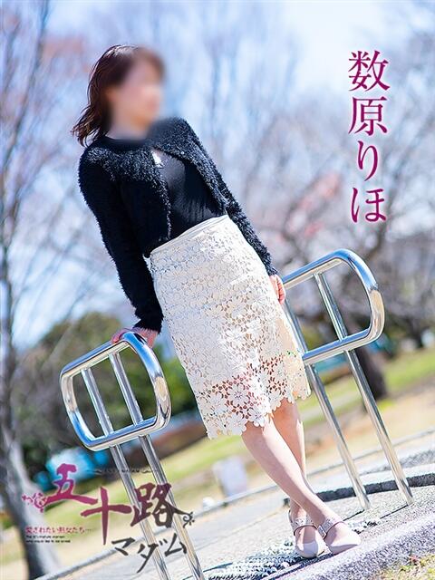数原りほ 五十路マダム静岡店(カサブランカG)(熟女デリヘル)