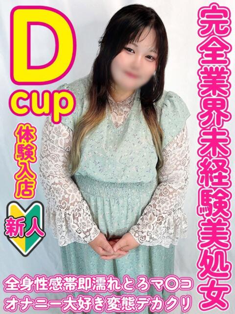 ひなの ぽっちゃりデリヘル倶楽部（デリヘル）