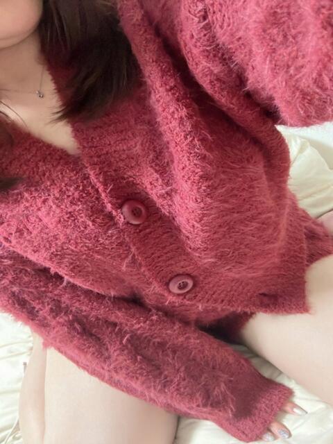 あんな ドMバスターズ岡崎・安城・豊田店(デリヘル)