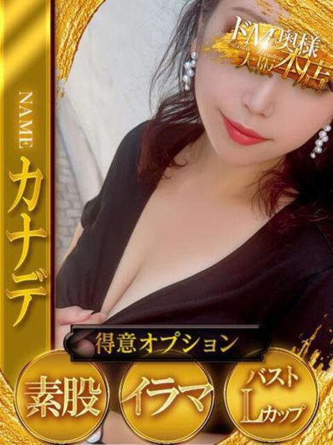 カナデ ドMな奥様 大阪本店（人妻デリヘル）