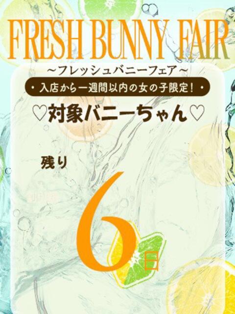 ミク バニーコレクション新潟店(ソープランド)