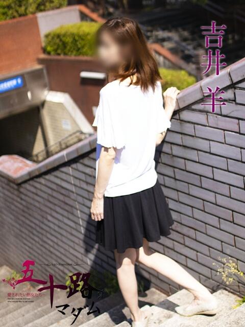 吉井 羊 五十路マダムエクスプレス横浜店（カサブランカグループ）（熟女デリヘル）