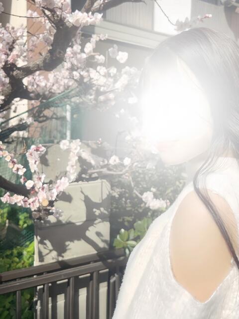 今宵【こよい】 ギャルズネットワークネクスト 京都（人妻デリヘル）