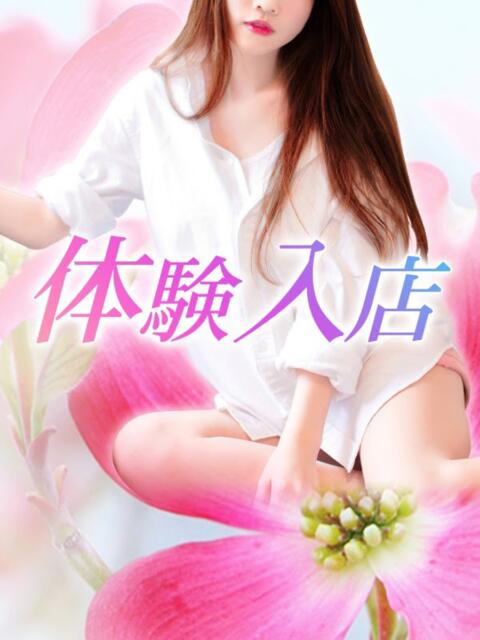 熟女  ゆみ ハナミズキ（デリヘル）