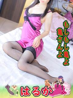 はるか もしもし亀よ亀さんよ 名古屋店（錦/デリヘル）