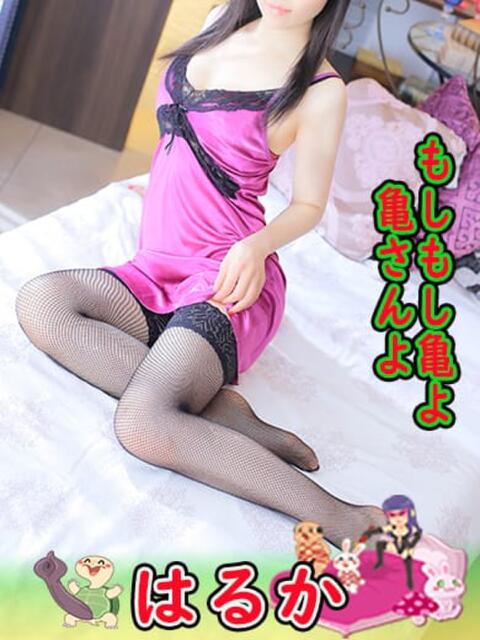 はるか もしもし亀よ亀さんよ 名古屋店（デリヘル）