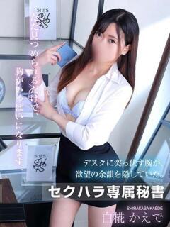 白椛 かえで 社長秘書 福原桜筋（福原/ソープ）