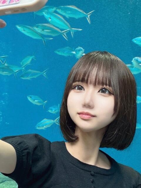 あまい 姫コレクション（デリヘル）