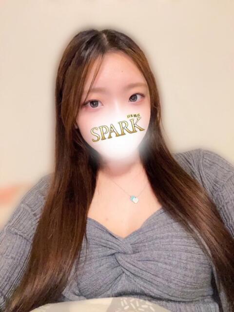 なほ スパーク日本橋（ホテヘル＆デリヘル）