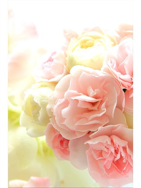 ステラ キャンディ(鹿児島)（デリヘル）