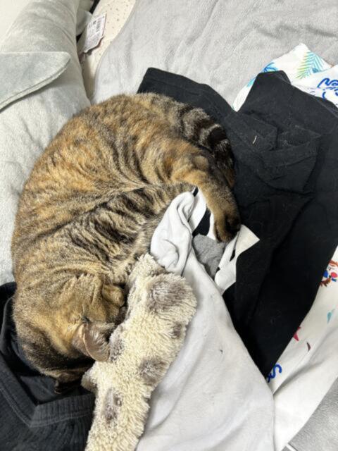 あお スマデリ（デリヘル）