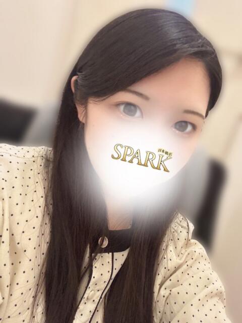 あいか スパーク日本橋（ホテヘル＆デリヘル）