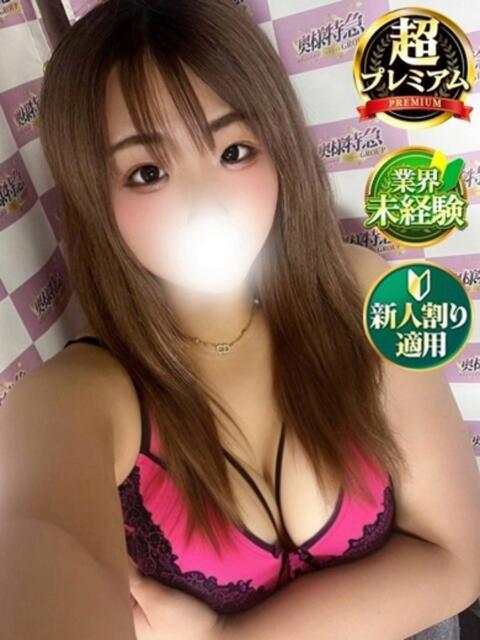 ひめな 奥様特急　池袋・大塚店（デリヘル）