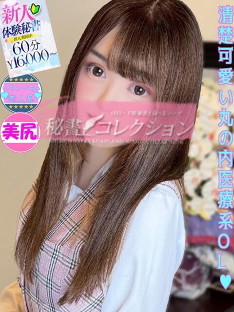 緑野 めい スタイリッシュ秘書(ソープランド)