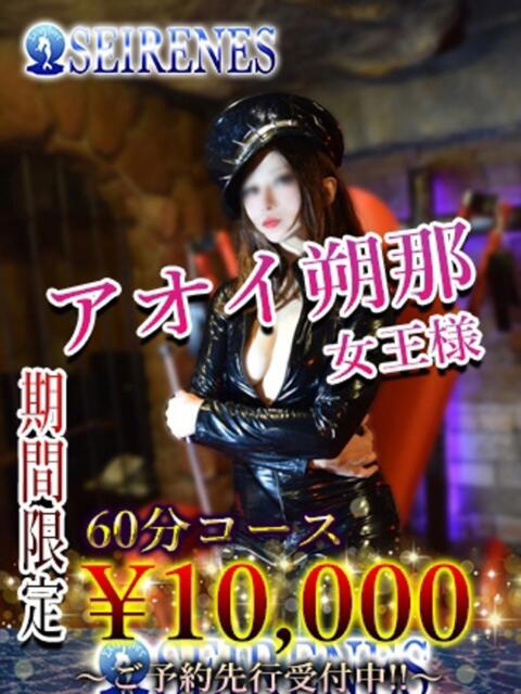 アオイ朔那 Seirenes (セイレネス)（派遣型SMクラブ）