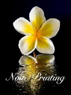 黒木　京華 Ｌ ～エル～（赤坂/デリヘル）