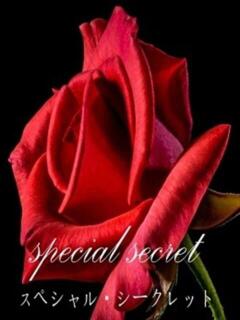 神田　雅 Ｌ ～エル～（赤坂/デリヘル）