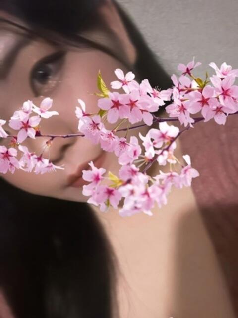 さくら 鹿児島ちゃんこ 天文館店(ぽっちゃり系デリヘル)