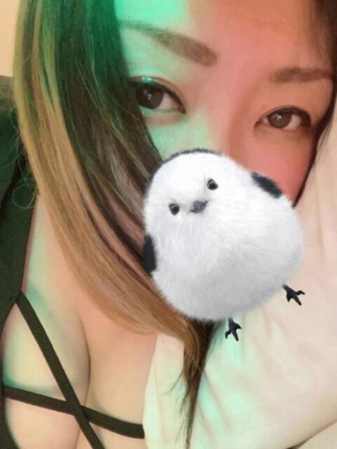 さくら ぽっちゃり巨乳素人専門店ぷにめろ八王子店(ぽっちゃり系デリヘル)