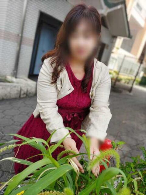 ひなた 鶯谷おかあさん（熟女デリヘル）