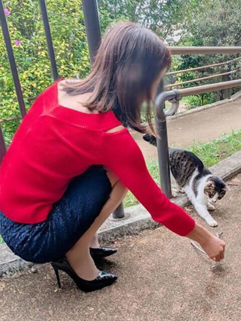 本上 松戸おかあさん(熟女デリヘル)