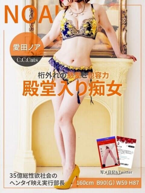 愛田ノア C.C.CATS(受付型M性感&派遣型M性感)