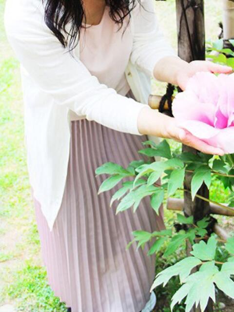 あおい 完熟ばなな札幌・すすきの(人妻熟女デリヘル)