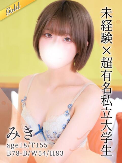 みき 東京リップ 池袋店(美女・美少女専門ホテヘル &デリバリーヘルス)