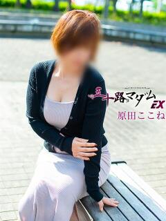 原田ここね 五十路マダム エクスプレス京都店（竹田/デリヘル）