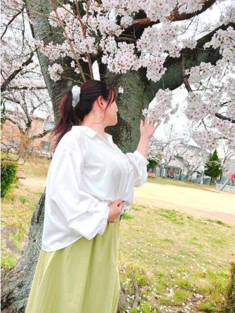 一ノ瀬　かえで 熟女パラダイス岐阜羽島店（カサブランカグループ）（熟女デリヘル）