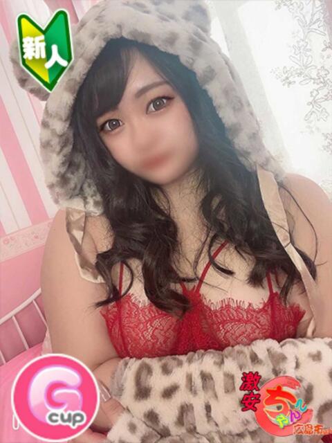 ソイ 広島市ちゃんこ（ぽっちゃりデリヘル）