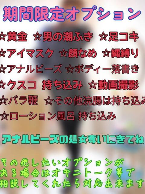 ひな 名古屋ちゃんこ（ぽっちゃりデリヘル）