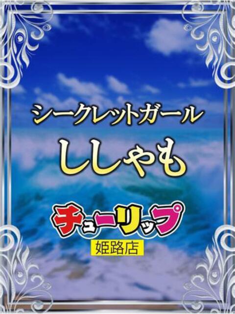 ししゃも チューリップ姫路店(ソープランド)