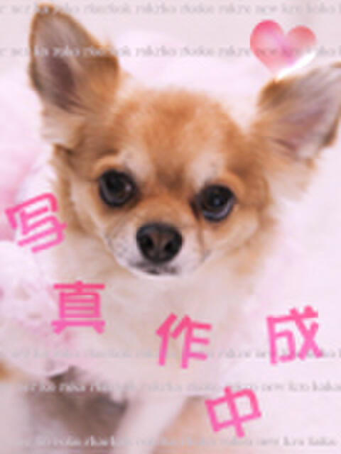 NO23るり チェリー（ファッションヘルス）