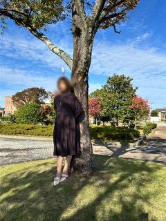 佐野ひまり 熟女パラダイス岐阜羽島店（カサブランカグループ）（羽島/デリヘル）