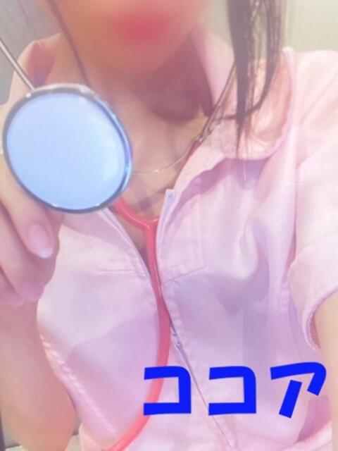 ココア 石庭（ソープランド）