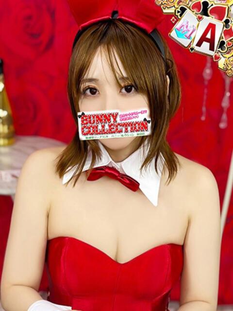 カリナ バニーコレクション秋田店（ソープランド）