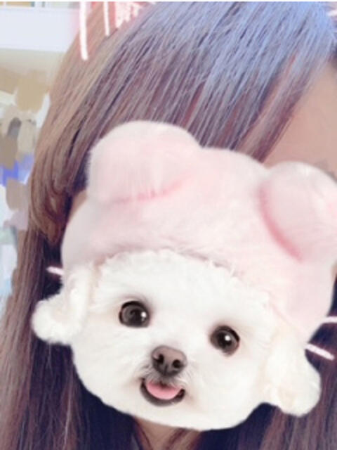 あいか 神田はっち(いちゃキャバ)