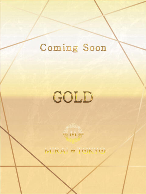 八木みなと MIRAI TOKYO 新宿店（高級デリヘル）