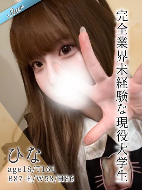 ひな 東京リップ 池袋店(美女・美少女専門ホテヘル &デリバリーヘルス)