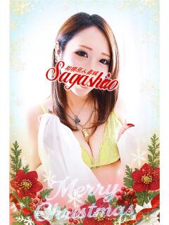 水上(みずがみ) 相模原人妻城（相模原/デリヘル）