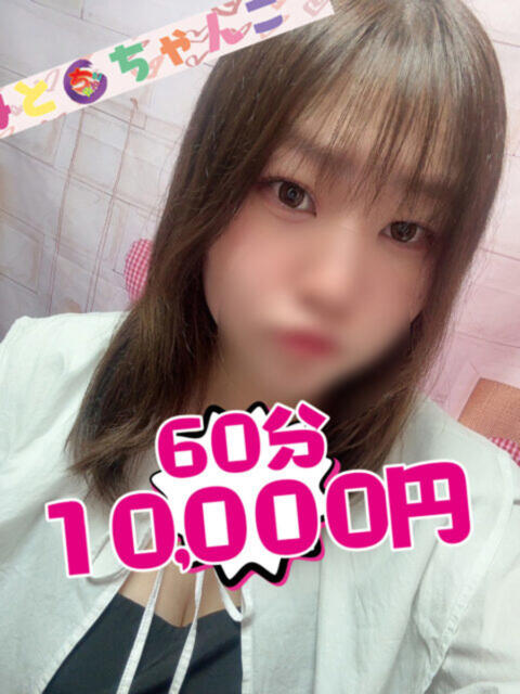 ゆい 茨城水戸ちゃんこ(ぽっちゃりデリヘル)