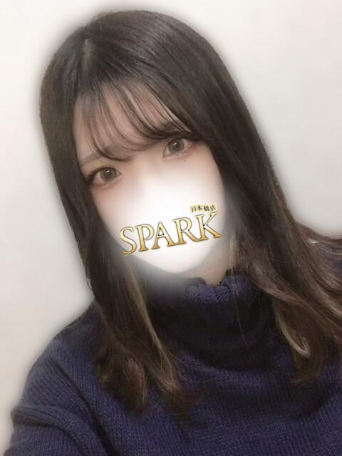 ななせ スパーク日本橋（ホテヘル＆デリヘル）