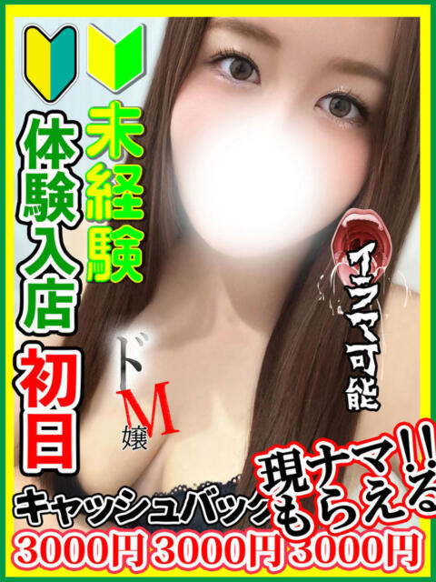 新田あけみ 全裸にされた女たちor欲しがり痴漢電車（ホテヘル）