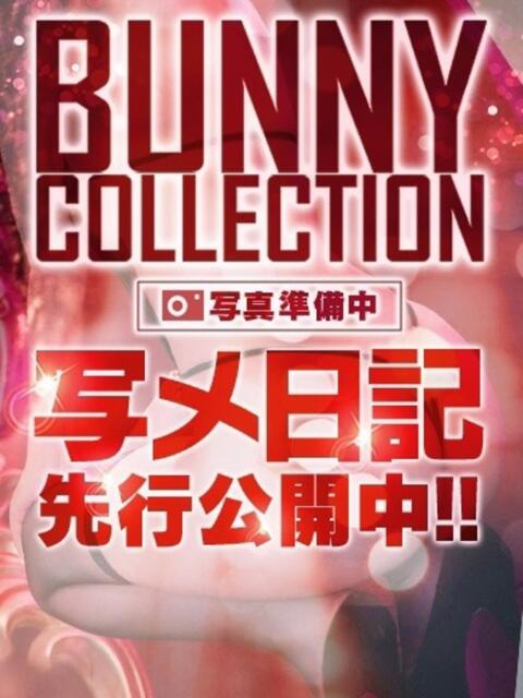 エリカ バニーコレクション新潟店(ソープランド)