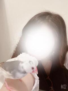 なつち 大高・大府市・東海市ちゃんこ（大高/デリヘル）